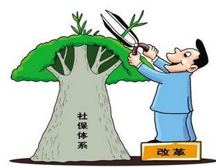 個(gè)人繳納社保和公司繳納的社保有何不同？ 第1張